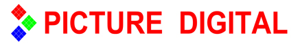 Picture Digital Logo